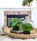 Set of 3 Mini Artificial Greenery Plants in Black Ceramic Pots – Faux Small Potted Plants for Home, Office Desk, Bathroom, Shelf & Farmhouse Decor